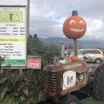 Mr. Locksmith Chilliwack Corn Maze